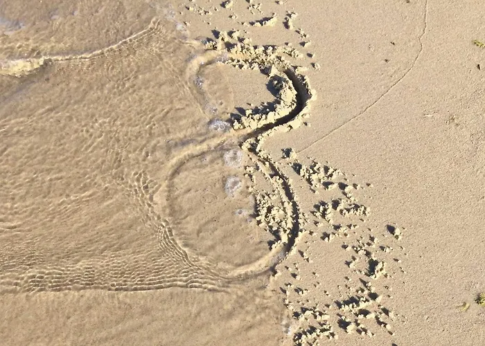 Appartement Parkresidenz Concordia, Nr 8 *